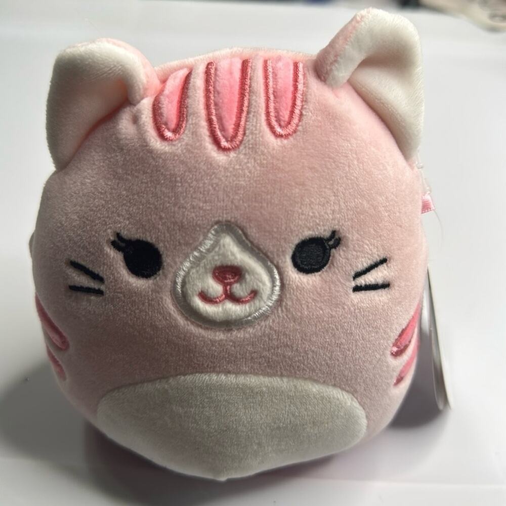NWT Squishmallow Laura the Tabby Cat 5" Plush